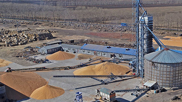 糧食烘干合作社如何做到年節(jié)省90萬元？利民萬佳鍋爐為您解析